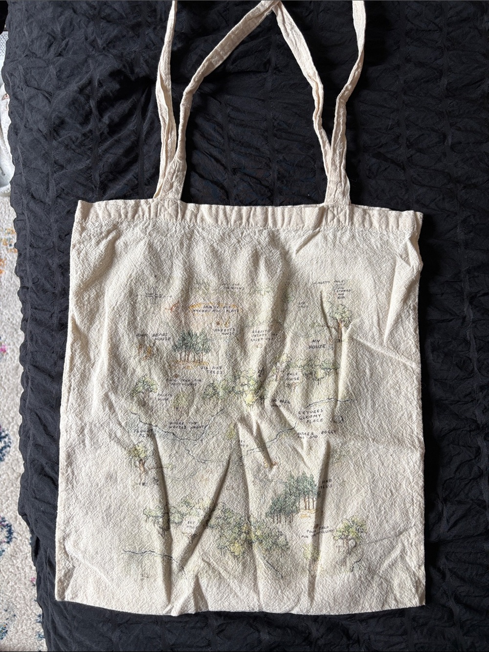 winnie the pooh canvas bag